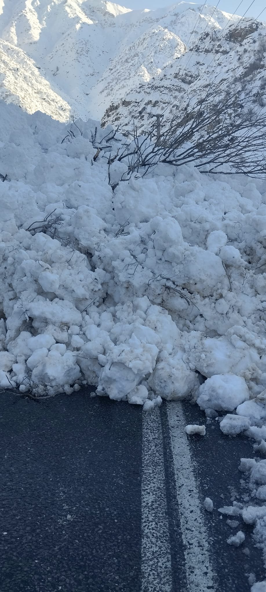 Dc085B1A 1773 403B 94D4 2D06Ea3Cc40E