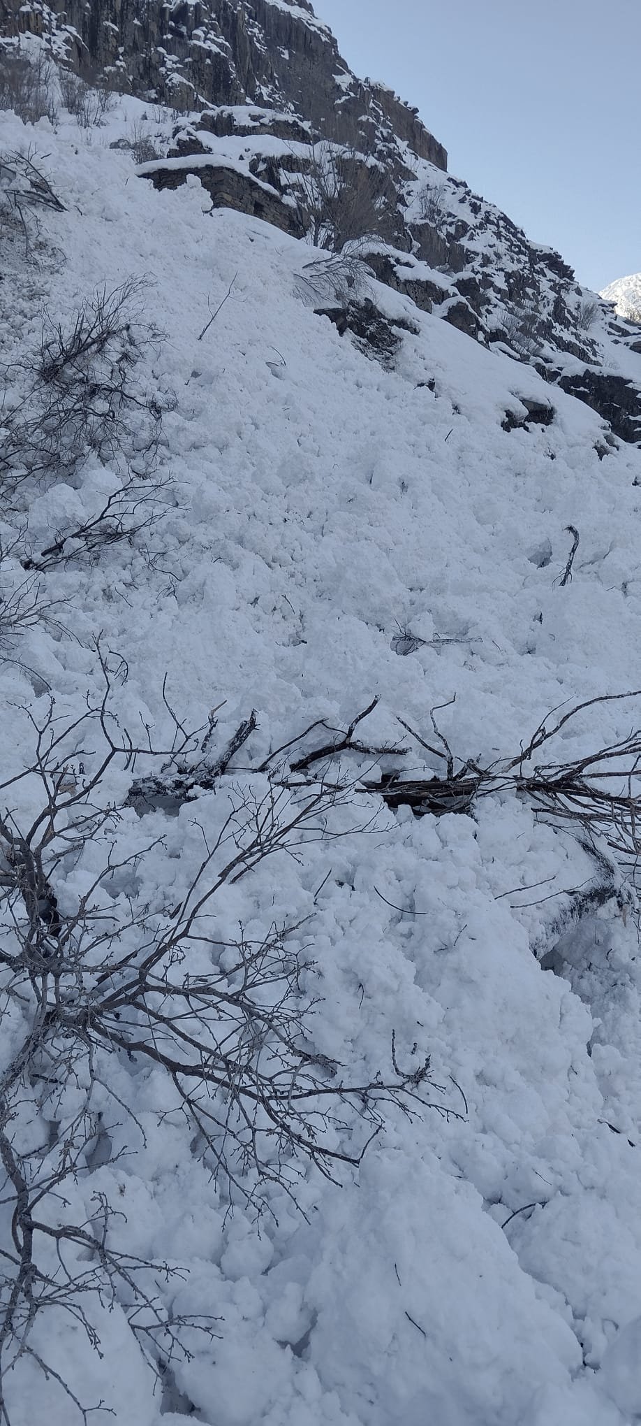 F8231A68 Fa43 49C7 8Ed0 8199F21Cb820