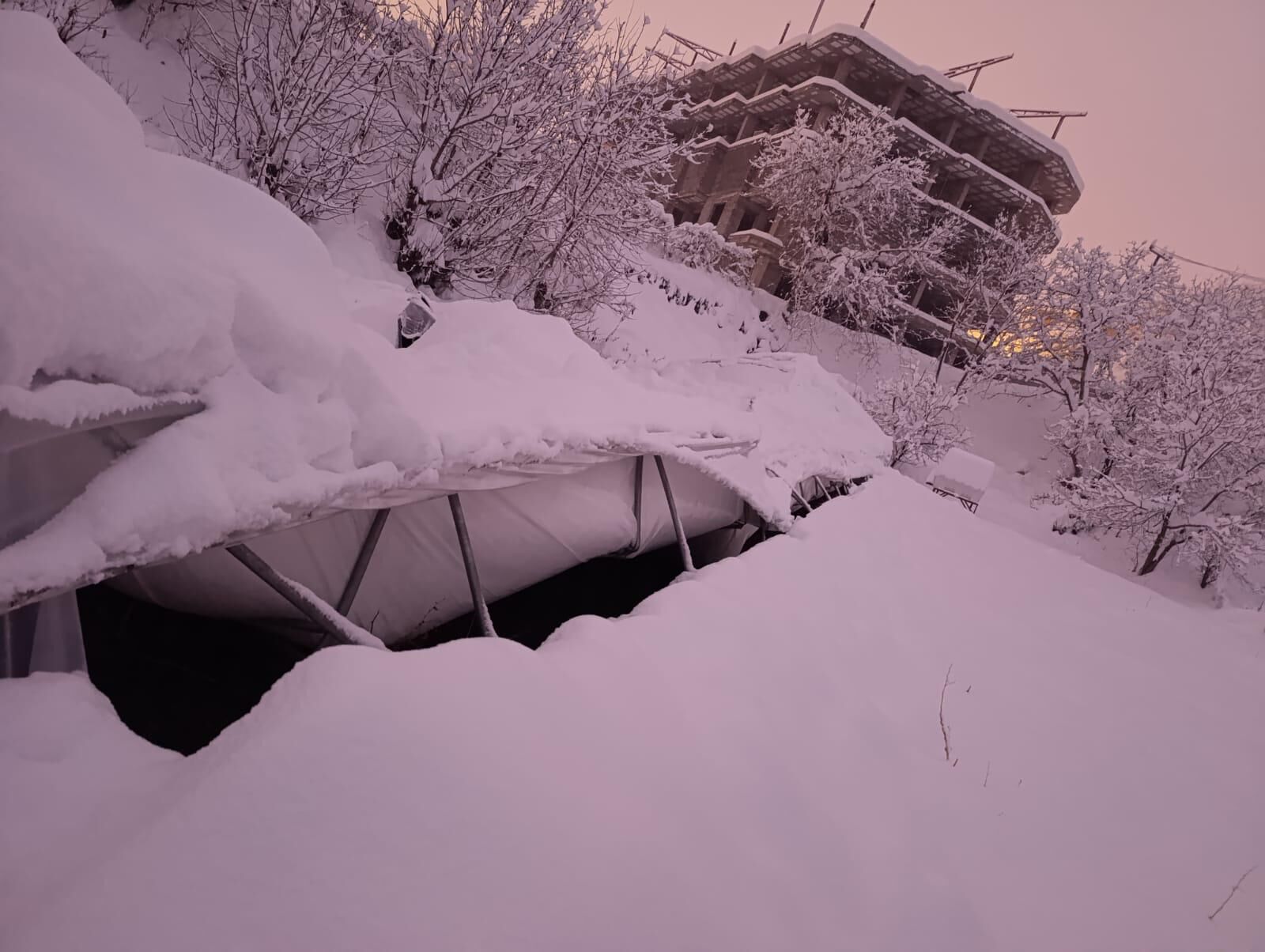 Ffda9347 57B6 48F8 85D5 C35Ea606952A