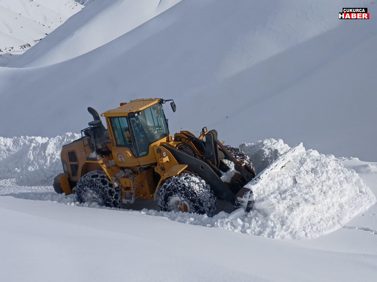 01190Ca8 1A90 4075 A6Bf B530553E1D7E