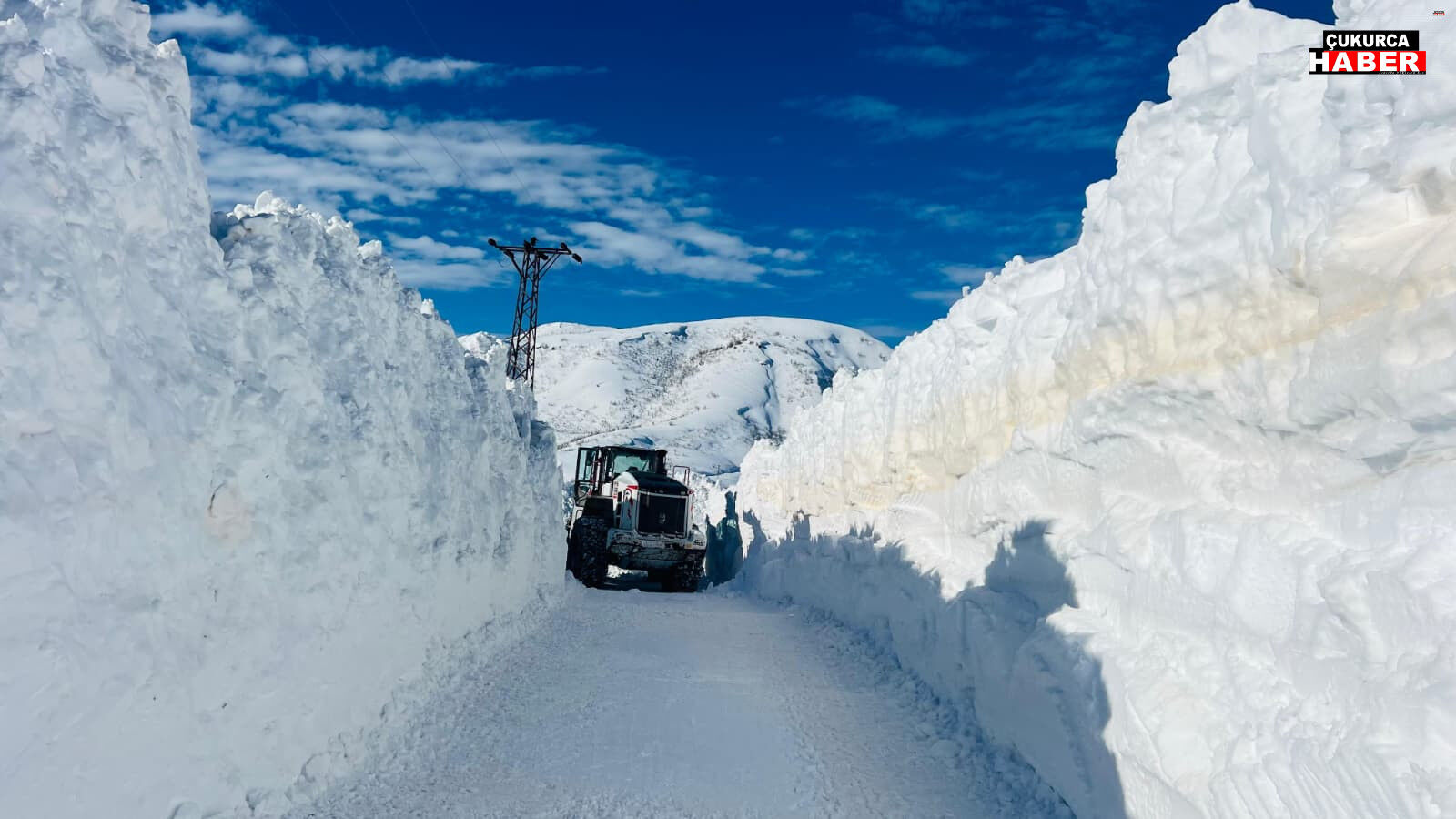 0B2D6D31 1F51 4E48 8C43 9Ce2C120Aeab