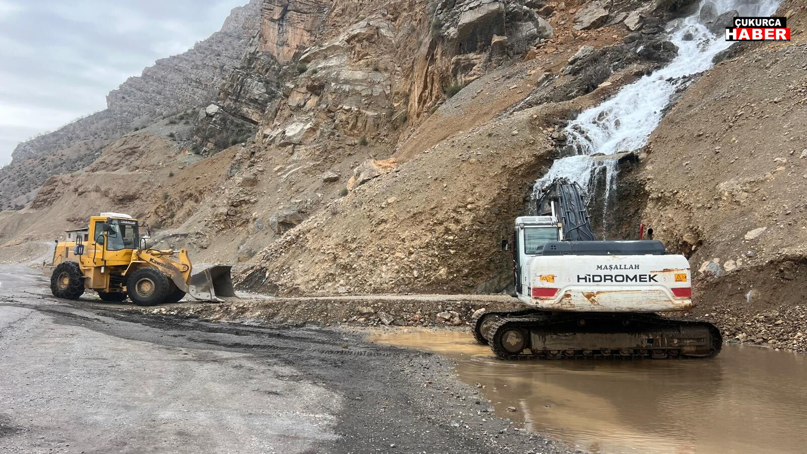 98D5Ff4D 4058 40E9 B37D 1835299034E4