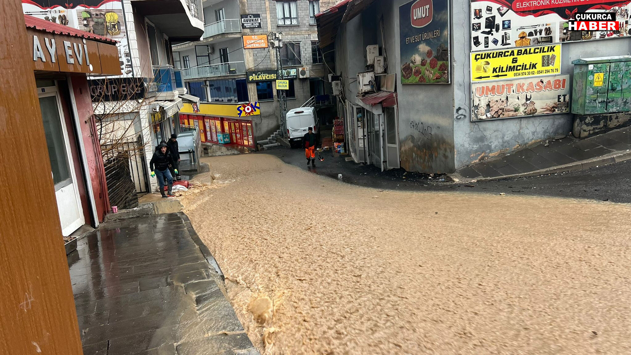 Cd6D4068 9F52 40B4 9641 Cac1109416B9