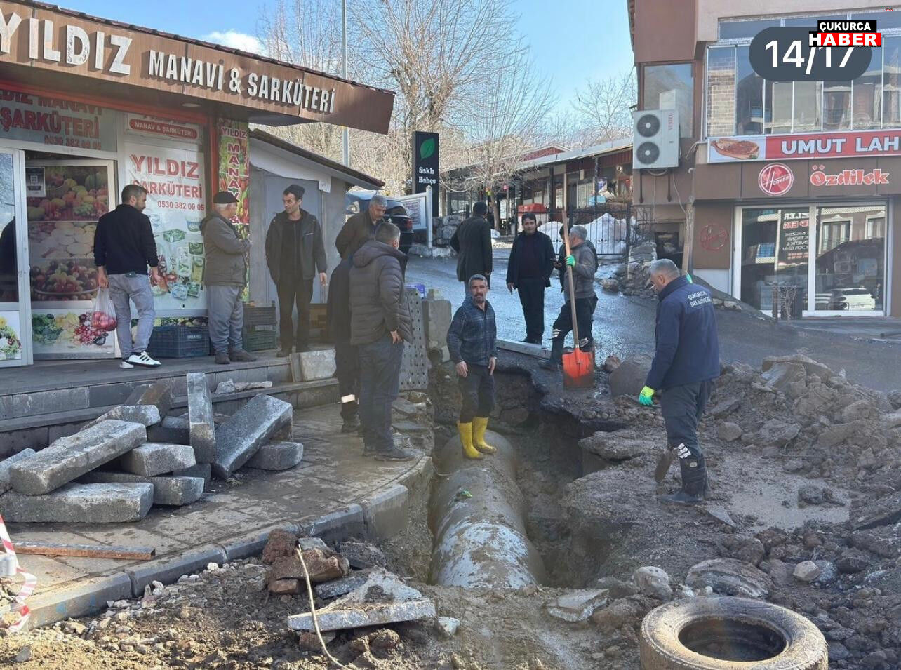 Dacf456A C40E 4A78 Aa7D 9B26736E1B26