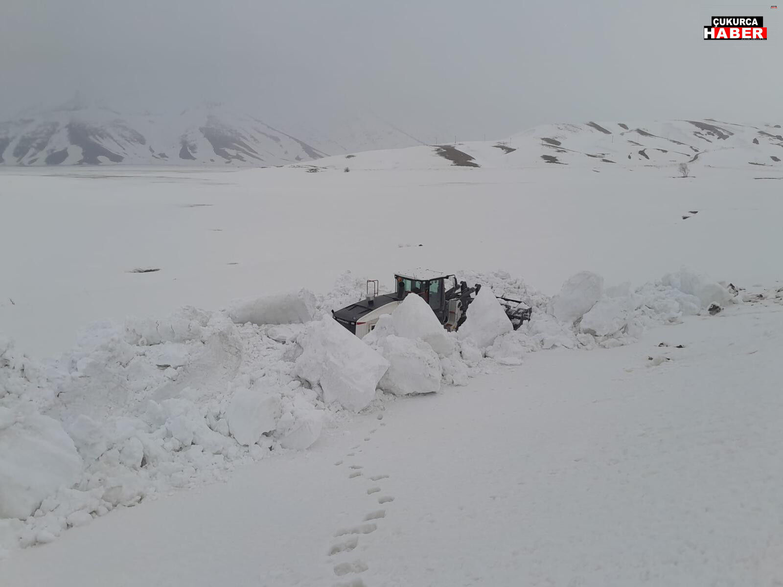 Dbf86Db4 Bd00 4699 93D1 7868B8847144