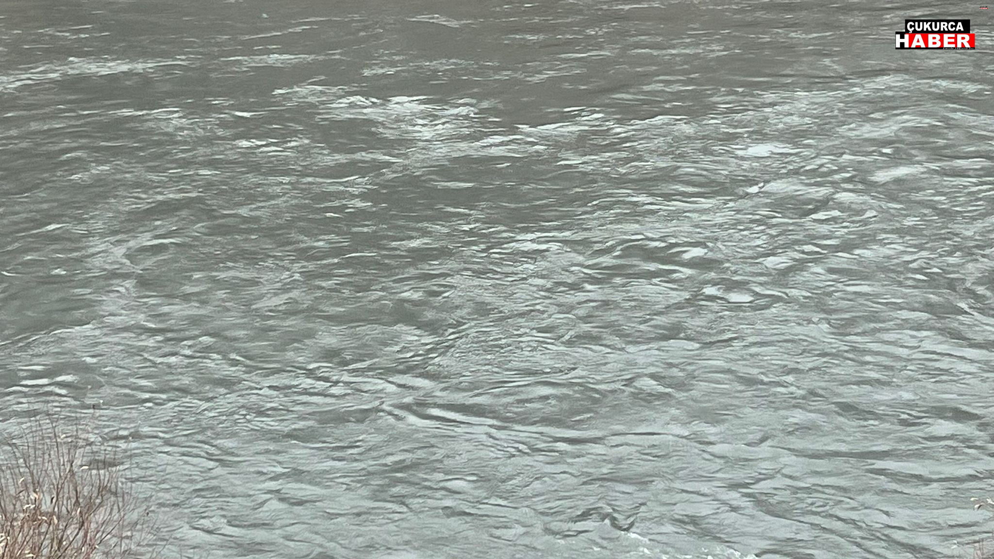 Whatsapp Image 2026 02 10 At 08.12.50