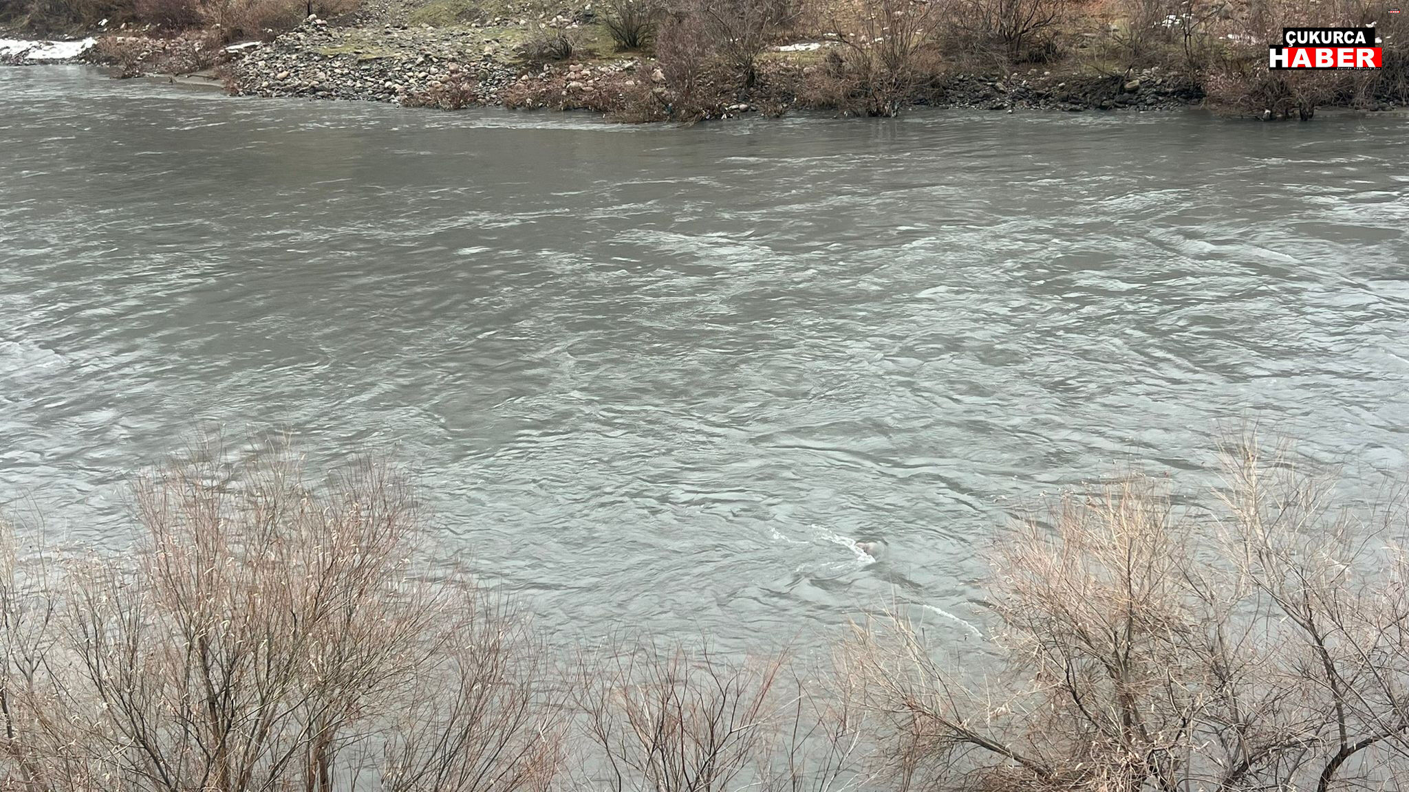 Whatsapp Image 2026 02 10 At 08.13.00