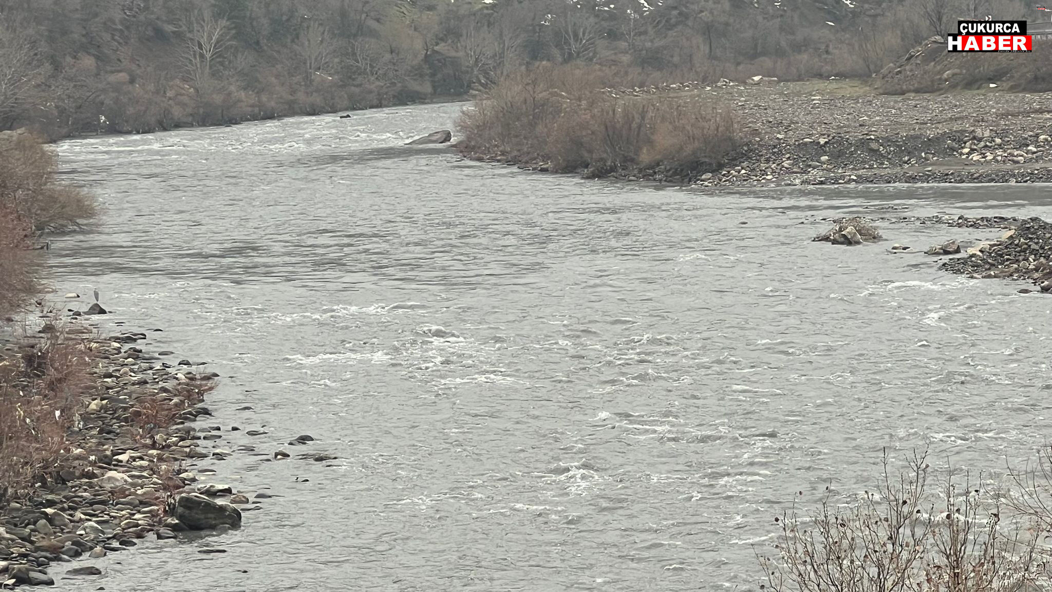 Whatsapp Image 2026 02 10 At 08.13.13