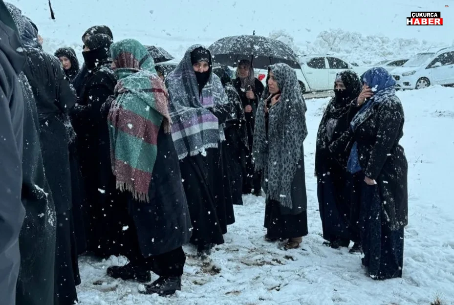 I M G 20260315 163618