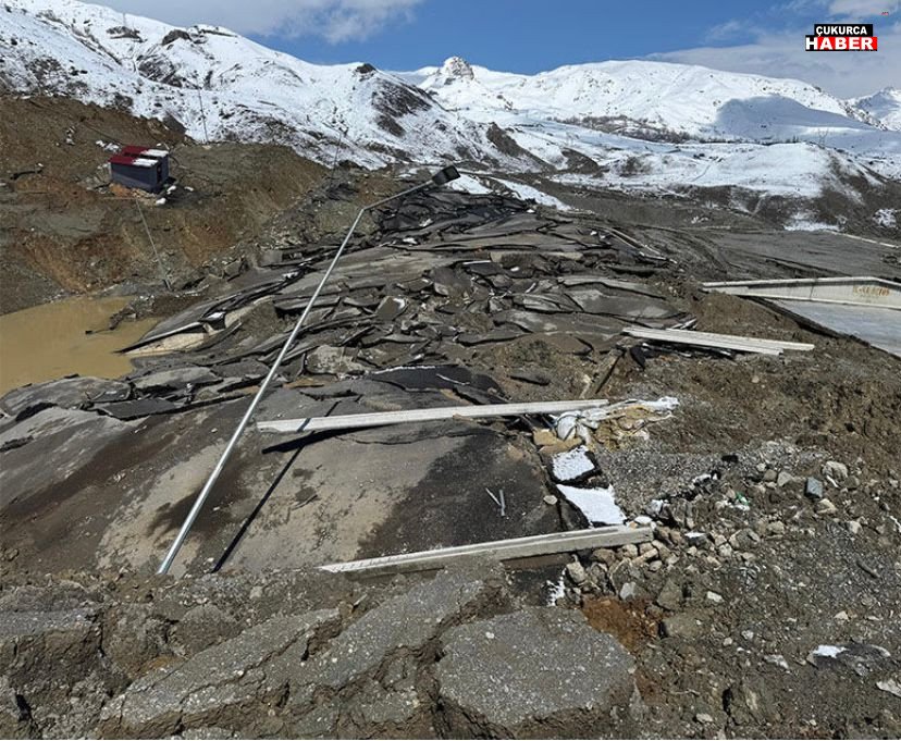 Ca342Cf2 5C05 4556 Acd2 Bfd37Fd03865