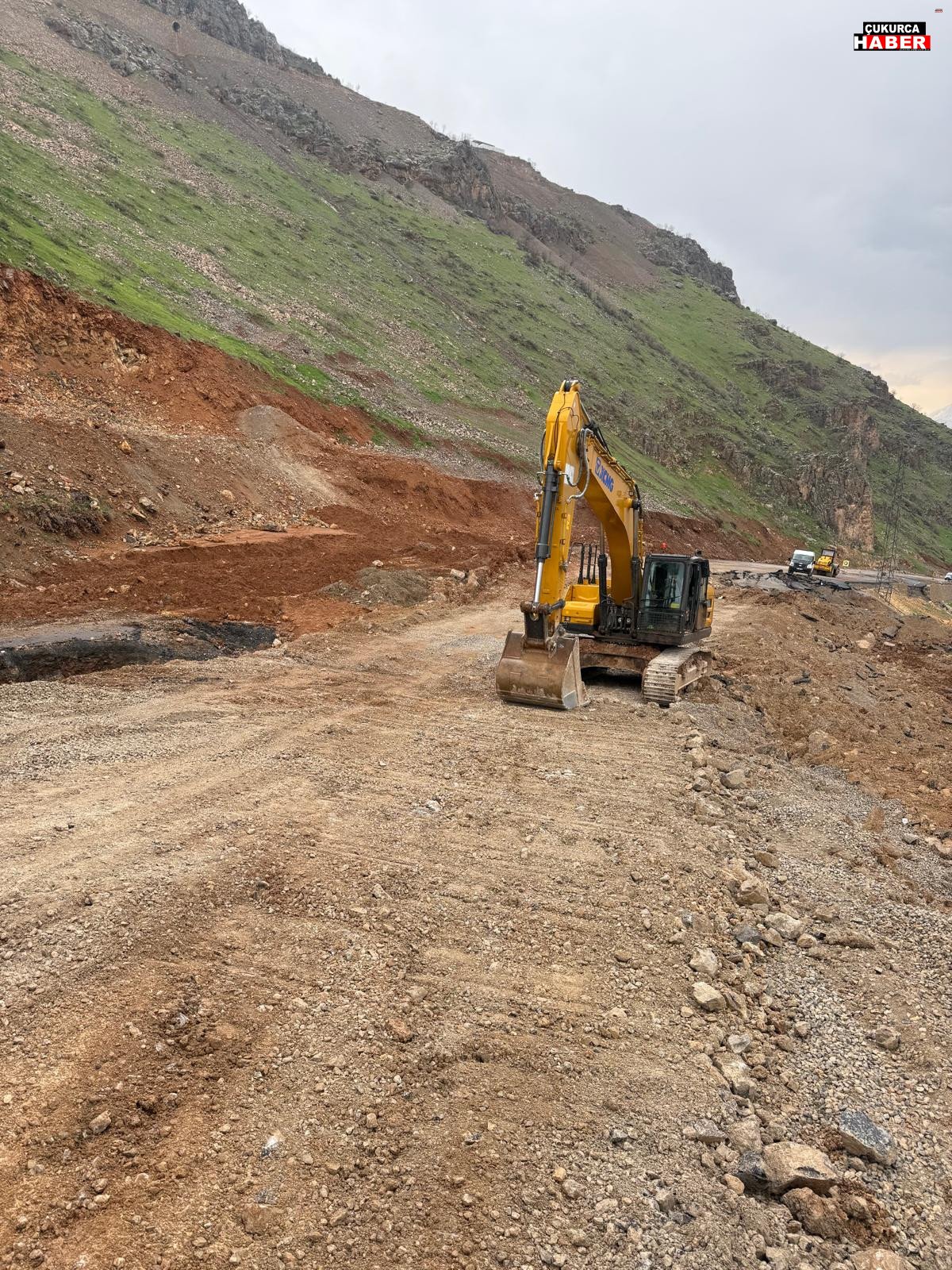 D8B99691 C211 4956 Be53 A968270A591B